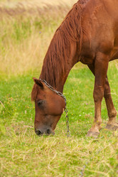 Similar image 1713490