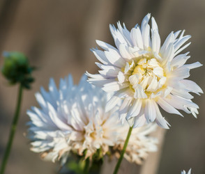 Similar image 1713491