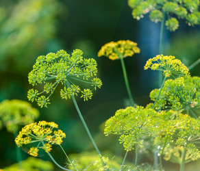 Similar image 1713492