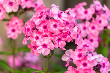 Similar image 1713493