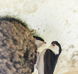 Similar image 1713495