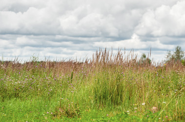 Similar image 1713496