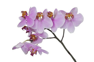 Similar image 1713768