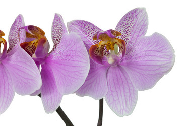 Similar image 1713769