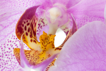 Similar image 1713772