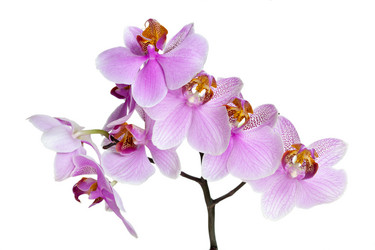 Similar image 1713773