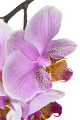 Similar image 1713775