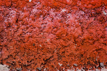 Similar image 1713971