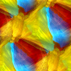 Similar image 1714029