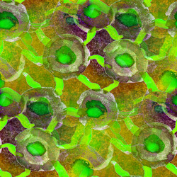 Similar image 1714045