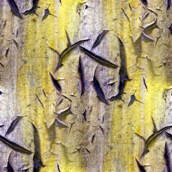 Similar image 1714228