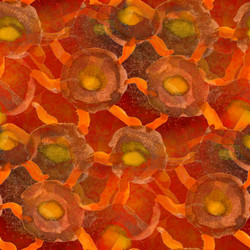 Similar image 1714354