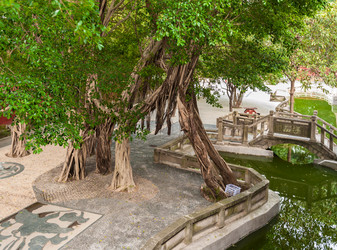 Similar image 1714410