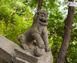 Similar image 1714411