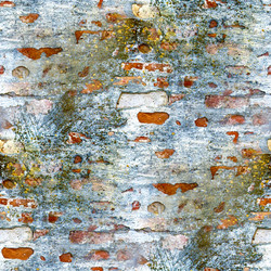 Similar image 1714420