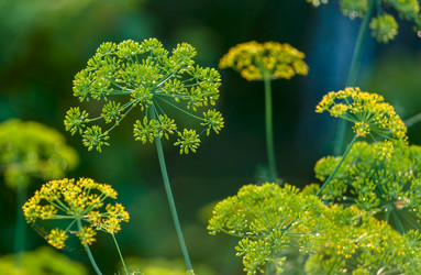 Similar image 1714443