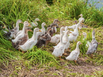 Similar image 1714479