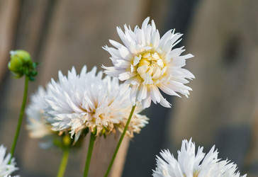 Similar image 1714480