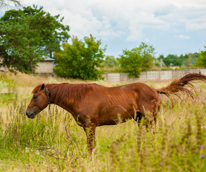 Similar image 1714481