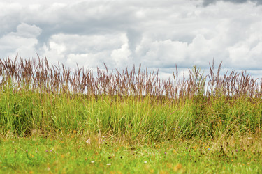 Similar image 1714504