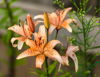 Similar image 1714505