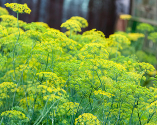 Similar image 1714506