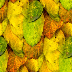 Similar image 1714515