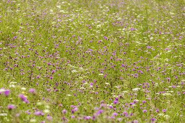 Similar image 1714519