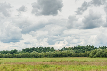 Similar image 1714522