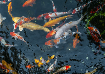 Similar image 1714674