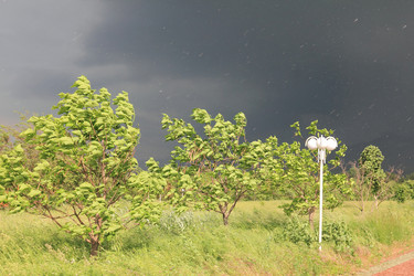 Similar image 1715018