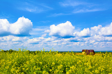 Similar image 1715045