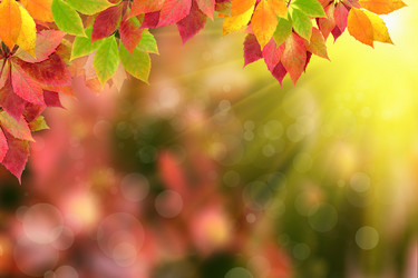 Similar image 1715062