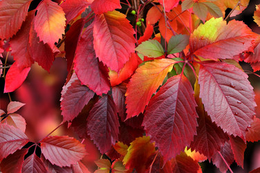 Similar image 1715063