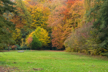 Similar image 1715079