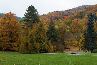 Similar image 1715081