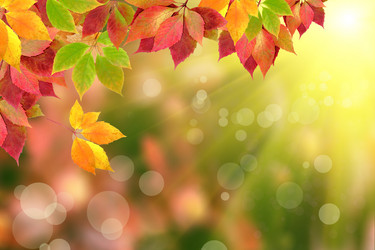 Similar image 1715105