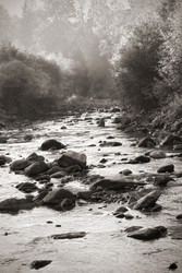 Similar image 1715415