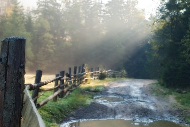 Similar image 1715417