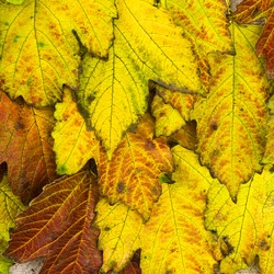 Similar image 1715559