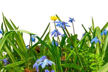 Similar image 1715879