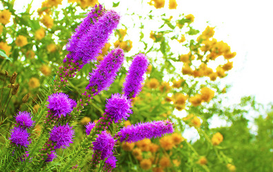 Similar image 1716057