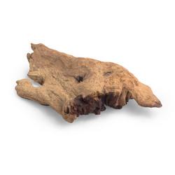 Similar image 1716125