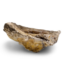 Similar image 1716130