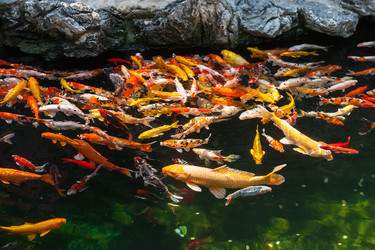 Similar image 1716164