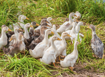 Similar image 1716172