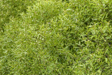 Similar image 1716178