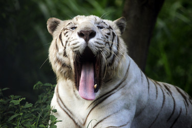 Similar image 1716284