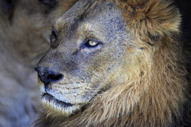 Similar image 1716287