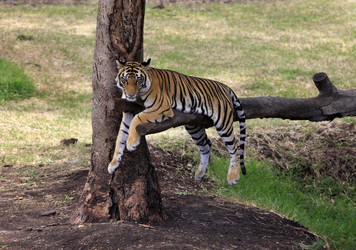 Similar image 1716326